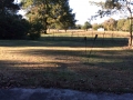 IMG_0915 2000 E Magnolia Dr