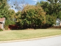 Right side yard 1, large lot, established trees, 2344 Yorkwood Dr , Fayetteville, AR, Real Estate for Sale, NWA, listing, Gulley Park