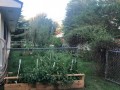 1_Garden_3001-N-Loxley-Ave