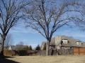 Backyard 1 3244 E Hearthstone Dr
