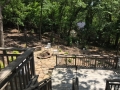 fire pit 1 907 E Arlington Ter